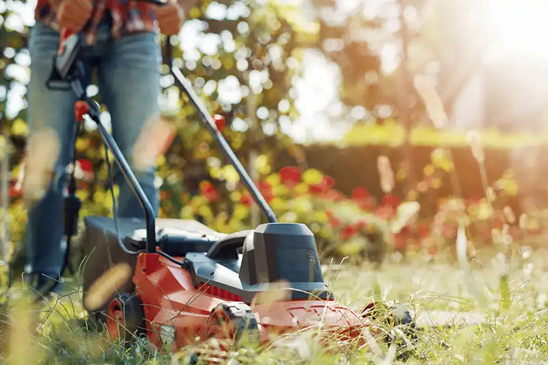 Lawn Mowing Lakeland FL