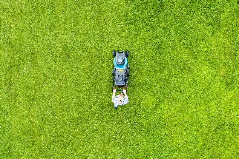 Lawn Mowing for Lakeland, FL