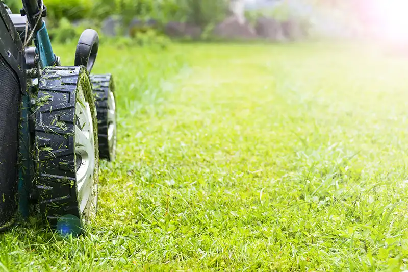 Lawn Mowing in Lakeland, FL