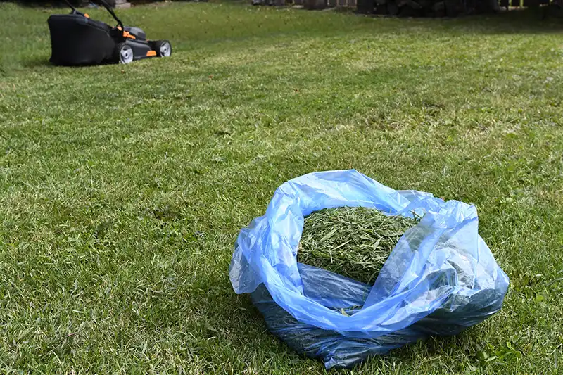 Mulching in Lakeland FL