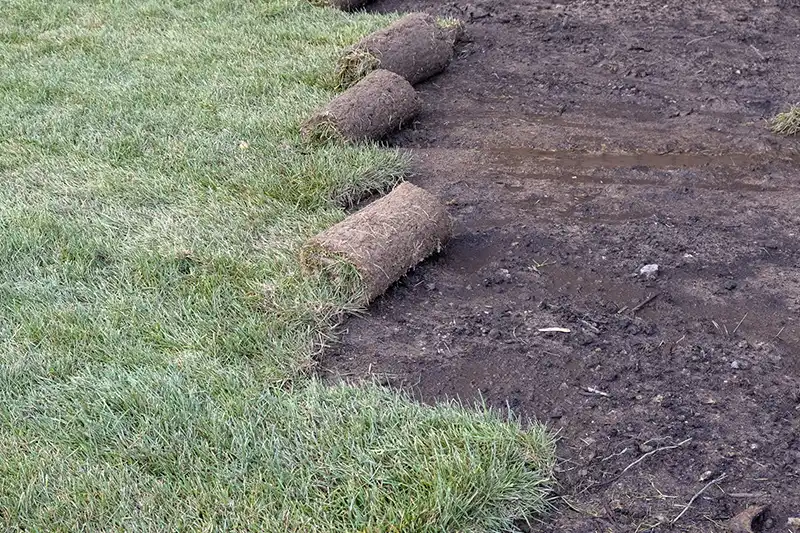 Sod Installation in Lakeland, FL