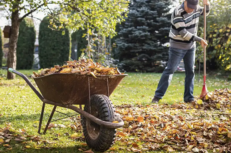 Yard Cleanup for Lakeland, FL